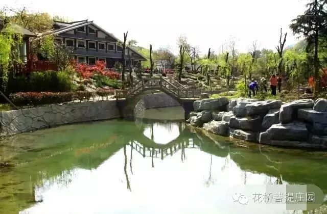這個周末，隴南康縣花橋有大事要發(fā)生？