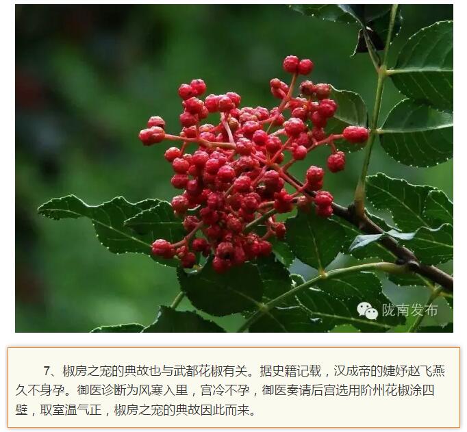 蘭渝鐵路最早由孫中山先生提出？在隴南，你不知道的事兒還有……