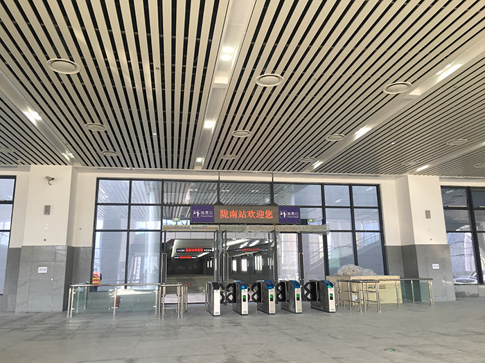 全國、省市政協(xié)委員體驗(yàn)蘭渝鐵路、視察階州廣場(chǎng)