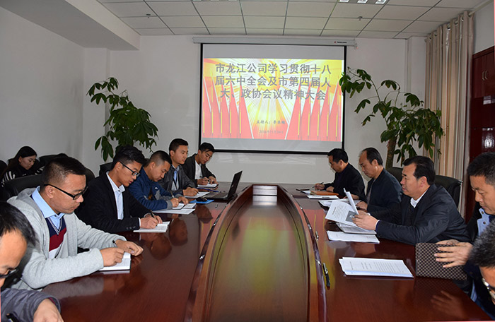 市龍江公司召開全體員工大會，專題傳達(dá)學(xué)習(xí)上級會議精神