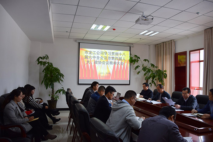 市龍江公司召開全體員工大會，專題傳達(dá)學(xué)習(xí)上級會議精神